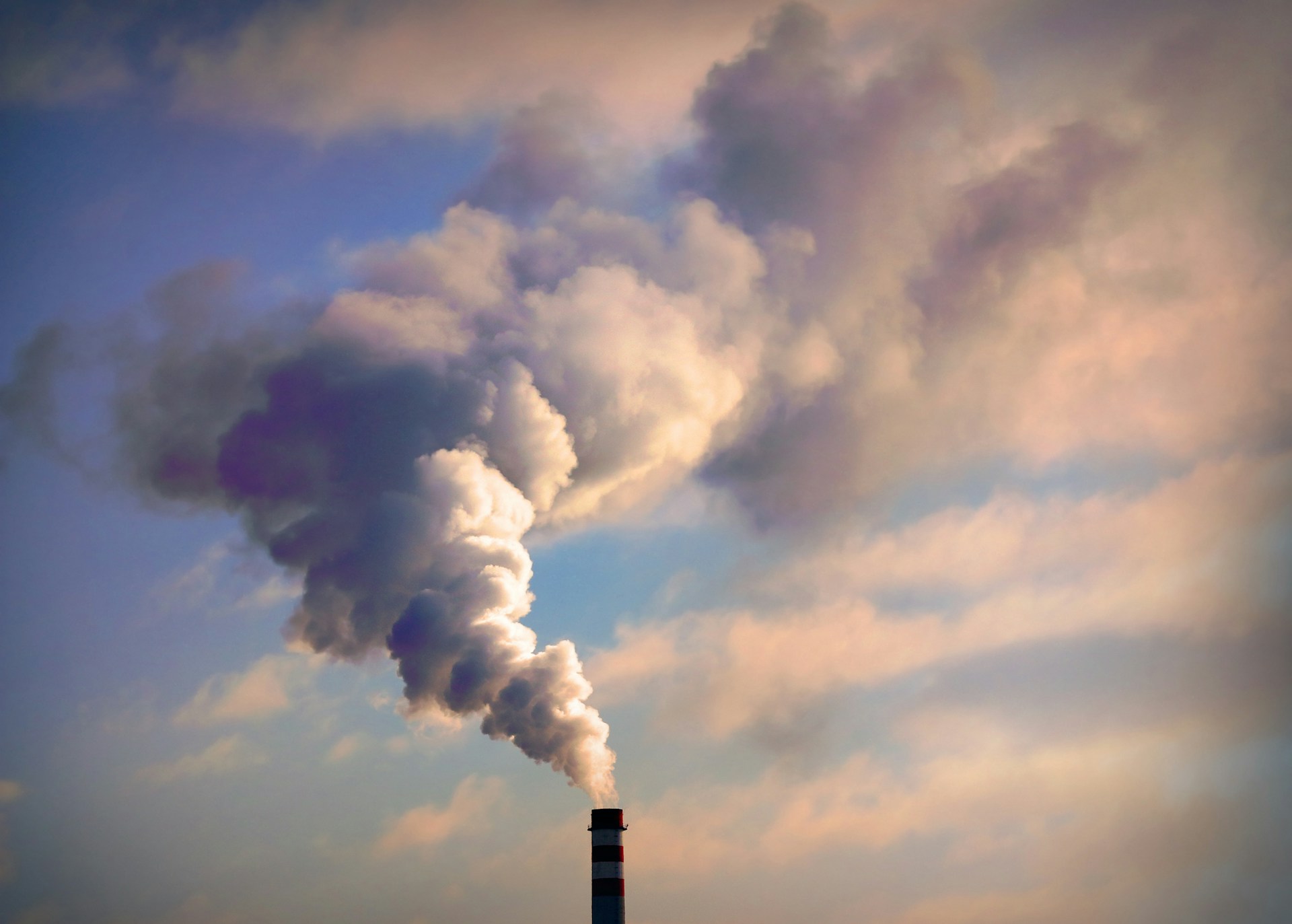Fossil Fuel